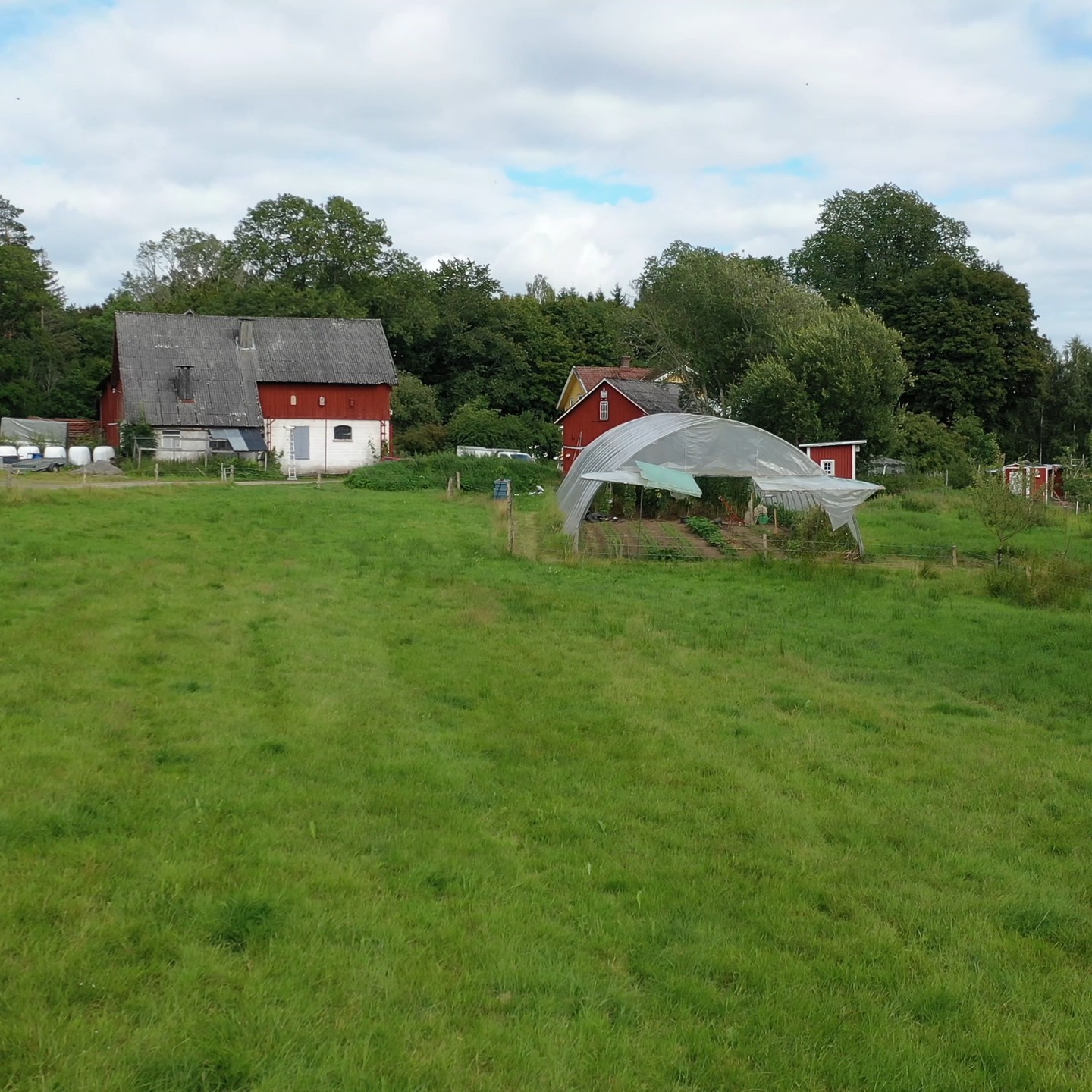 I helgen har vi öppen gård under gårdssafari längst väg 190. Välkomna att besöka växthusen, skogsträdgården, odlingarna och hälsa på djuren. Tackor och tacklamm kommer att gå i en hage vid gårdsplanen och de är väldigt sugna på att bli gosade med. Gårdsbutiken kommer att fyllas med grönsaker och Ylva och Jonas finns på plats för att svara på frågor om odling och allt annat som kan hända på en gård.
Filmat av @flulundin
Passa också på att besöka;
@skattegardens_lantost
@sh_naturochkultur
@lillahakansgarden
@emmastradgard_svenskebo
@westerbobutik
#brobackakaffestuga #upplevbrobacka #matsafarilängsväg190 #gårdssafarilängsväg190 #gårdssafari