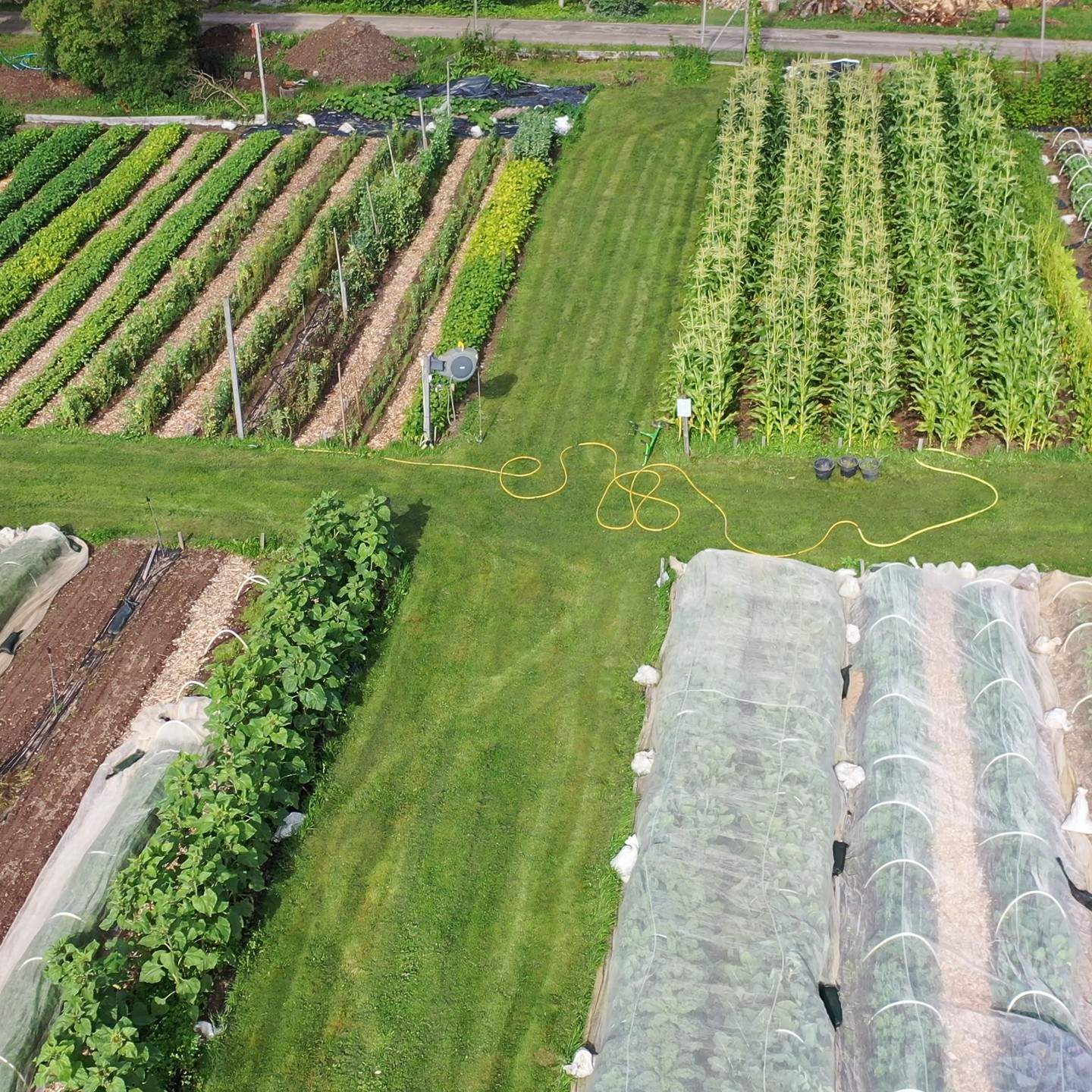 Här jobbar vi :)
Den 23-24 september är du välkommen hit då vi har öppen gård 11-16 båda dagarna.
Filmat av @flulundin
#odling #marketgardening #lokalproduceradmat #visitalingsås