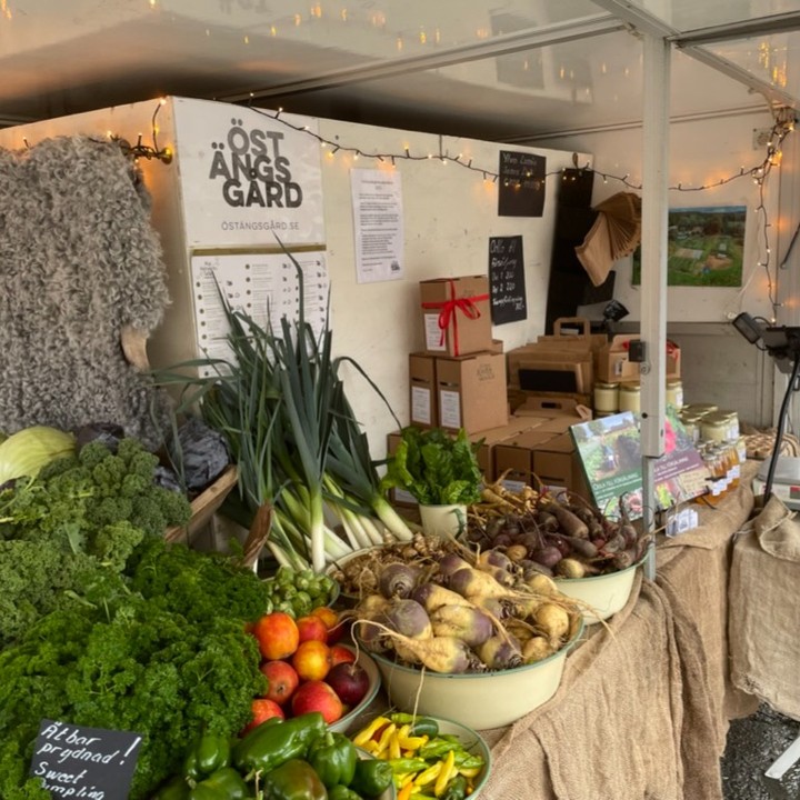 Nu på lördag är ni alla välkomna till @nolbygardsintresseforening och julmarknaden 10-16. Det blir många olika utställare, tomte, byggnadsvård, fika- och lunchmöjlighet i en trevlig miljö. Vi har med oss äppelmust, honung och även en del grönsaker så passa på.
#jul #julmarknad