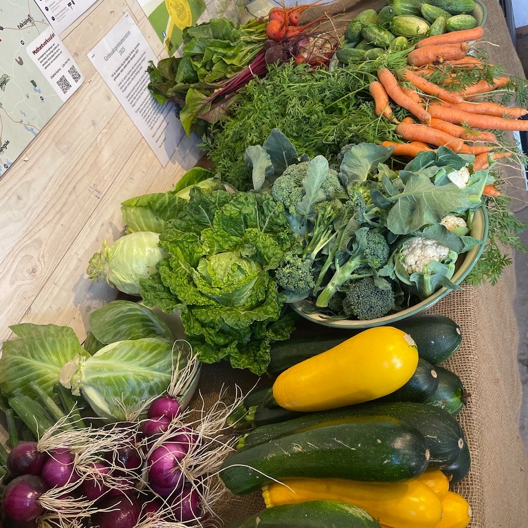 Just nu skördar vi massor av fantastiskt fina, smakrika grönsaker. Vi har också skördat len och god honung som finns burkad till försäljning. Honungen är inte uppvärmd och inget är tillsatt utan burkarna innehåller bara ren honung av hög kvalité.
Vill ni lägga vantarna på några av våra produkter så är chanserna stora den här månaden då vi är aktiva med Öppen gård, skördemarknader, REKO-ringsutlämningar med direktförsäljning, Alingsås Matmarknad och vår egen gårdsbutik. Kolla in inlägget på bloggen så ser du var du hittar oss.