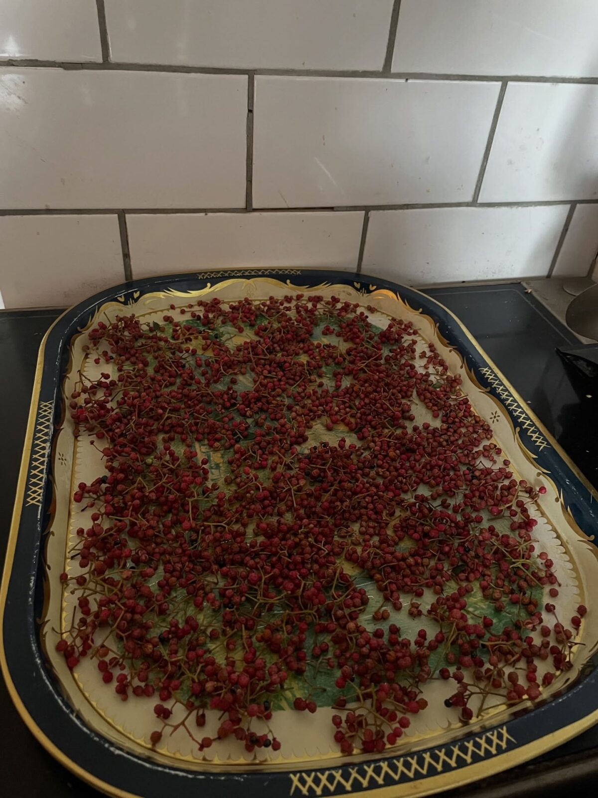 Årets skörd av sishuanpeppar. Skörden blir något större år från år. Älskar smakpaletten i dessa frökapslar. #sishuanpeppar