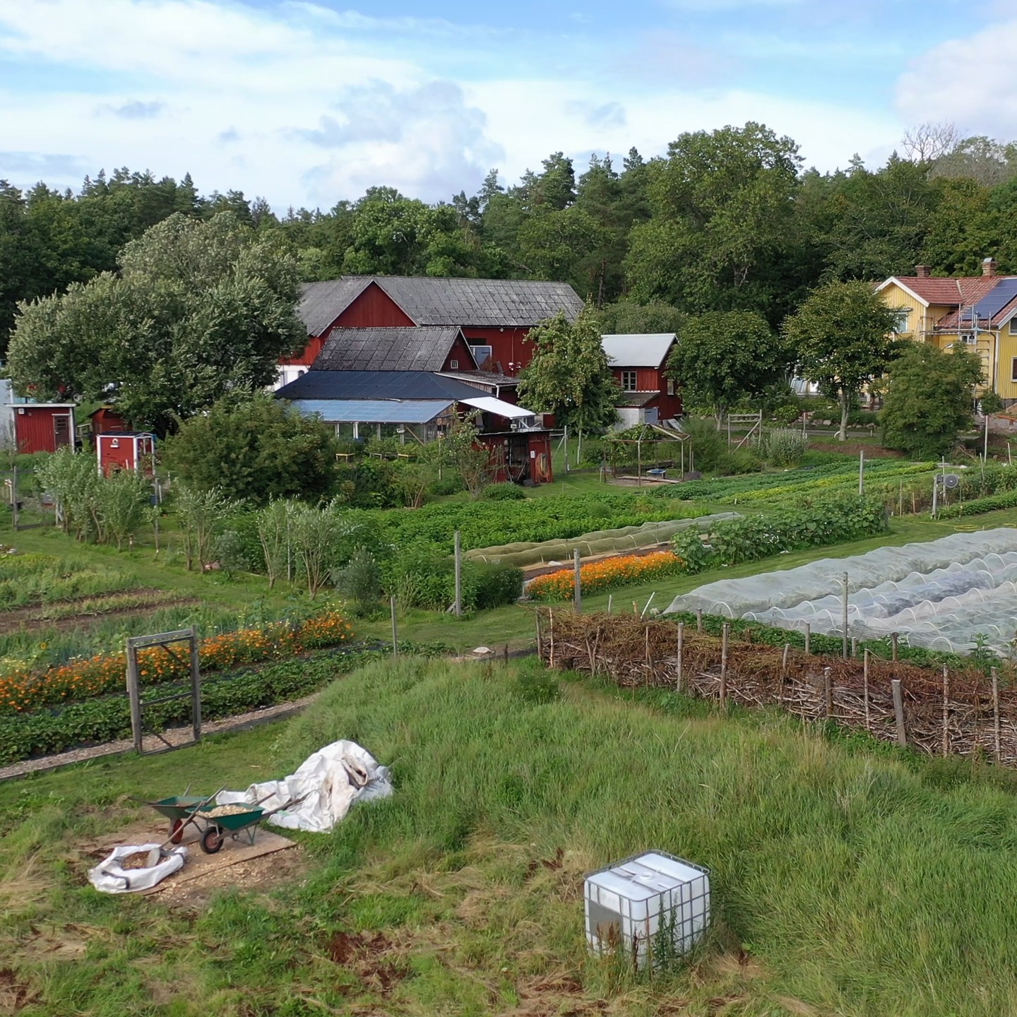 Tack alla besökare som kom till vår gård i helgen. Det har varit många intressanta besökare och samtal. För er som inte lyckades ta er hit så får ni en liten överblick filmad av @flulundin eftersom vi inte fick fotat en enda bild under dagarna.
Tack till @upplevalingsas och övriga arrangörer som gjort ett bra jobb med att nå ut med arrangemanget.
Tack också till övriga deltagare. Så roligt att det finns så mycket intressant att se på landsbygden.
@bjuggagardens
@skattegardens_lantost
@ostangs_gard
@emmastradgard_svenskebo
@westerbobutik
@ullfarmen
@kaffekoppen.sollebrunn
@sh_naturochkultur
@lillajordbruket
@lammetochbonden
@alzoubi_farm
@asiengard_larjean
@kalstromsgard
@thaigronsaker
@wattlebrygghus
@seihinesmatkultur
Synd bara att vi själva inte kunde åka runt 😊
Nu är vi helt slut men väldigt nöjda och ska sjunka ner i soffan ett tag. 😊
#gårdssafari #lokalproduceradmat #livetpålandet
